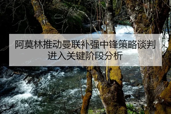 阿莫林推动曼联补强中锋策略谈判进入关键阶段分析（Huatihui FIFA WORLDCUP）