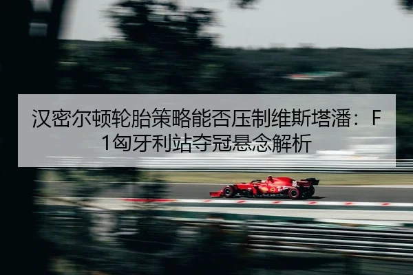 han-mi-er-dun-lun-tai-ce-lve-neng-fou-ya-zhi-wei-si-ta-pan-xiong-ya-li-zhan-duo-guan-xuan-nian-jie-xi-2-210.jpg