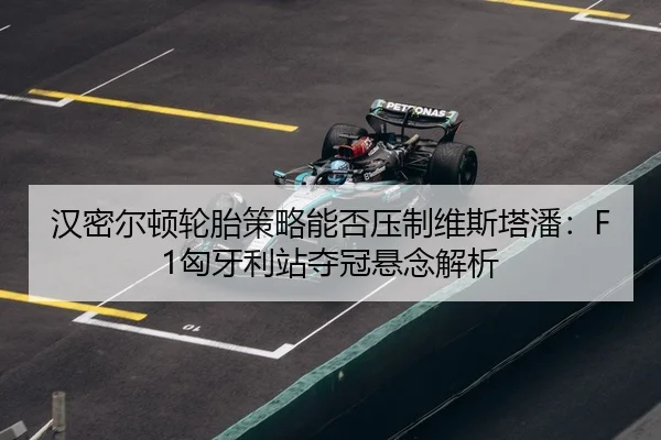 han-mi-er-dun-lun-tai-ce-lve-neng-fou-ya-zhi-wei-si-ta-pan-xiong-ya-li-zhan-duo-guan-xuan-nian-jie-xi-3-510.jpg