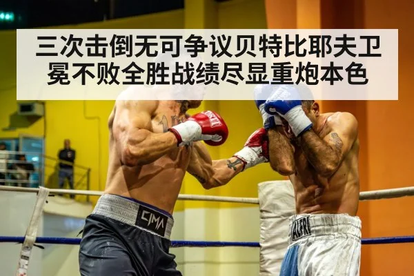 light heavyweight championship fight